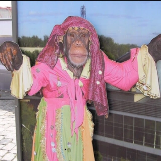 Kristen (Gypsy Monkey)